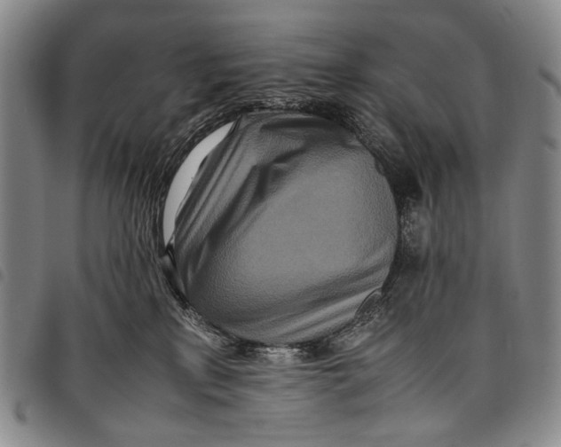 X0000097960233200804141035