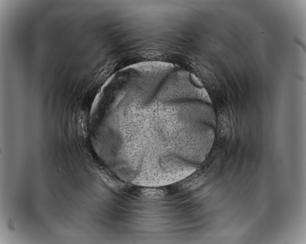 X0000097960234200804141035