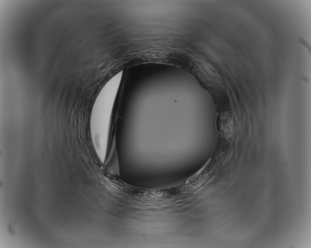 X0000097960235200804141035