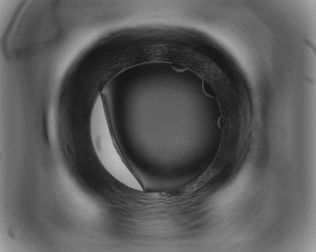 X0000097960239200804141035