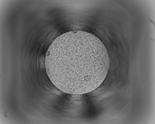 X0000097960240200804141035