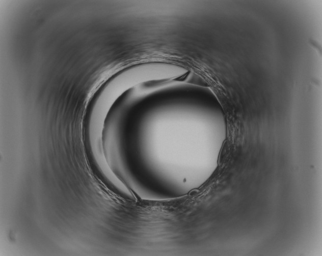 X0000097960244200804141034