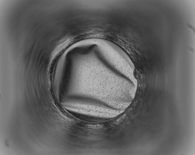 X0000097960245200804141034