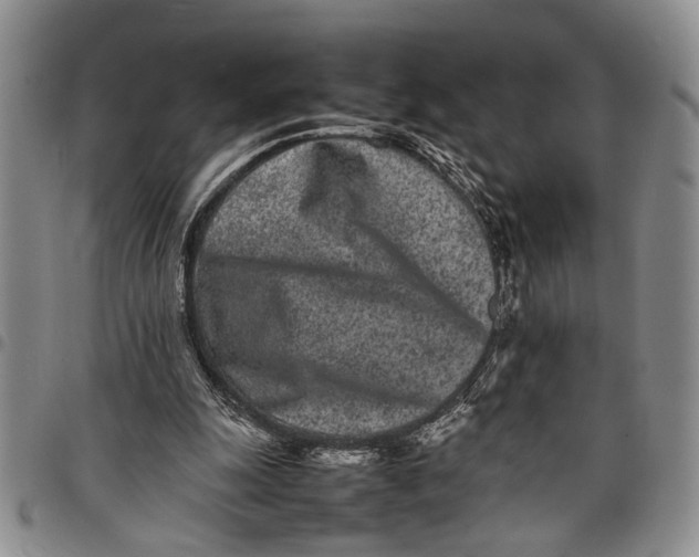 X0000097960247200804141034