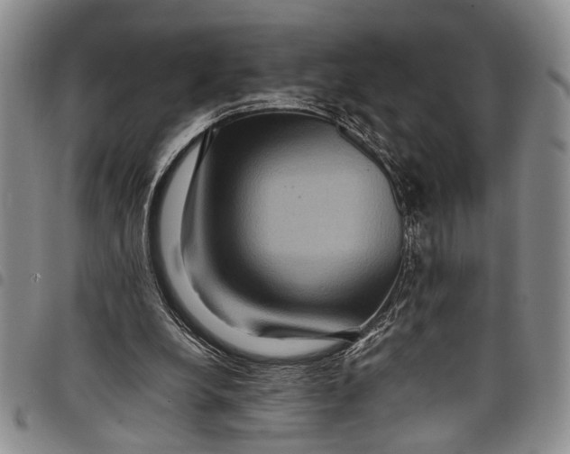 X0000097960248200804141034