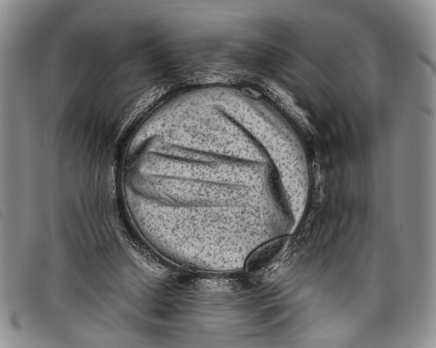 X0000097960250200804141034
