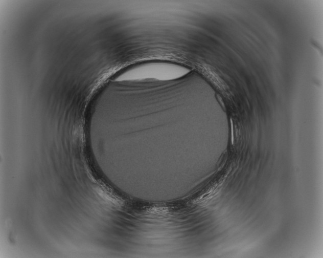 X0000097960252200804141034