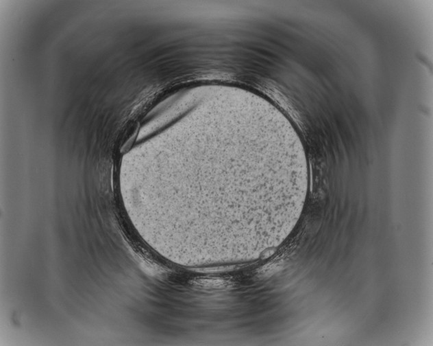 X0000097960253200804141034