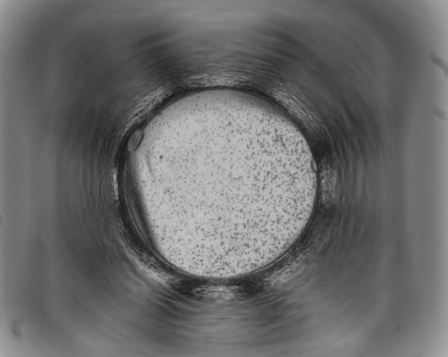 X0000097960254200804141034