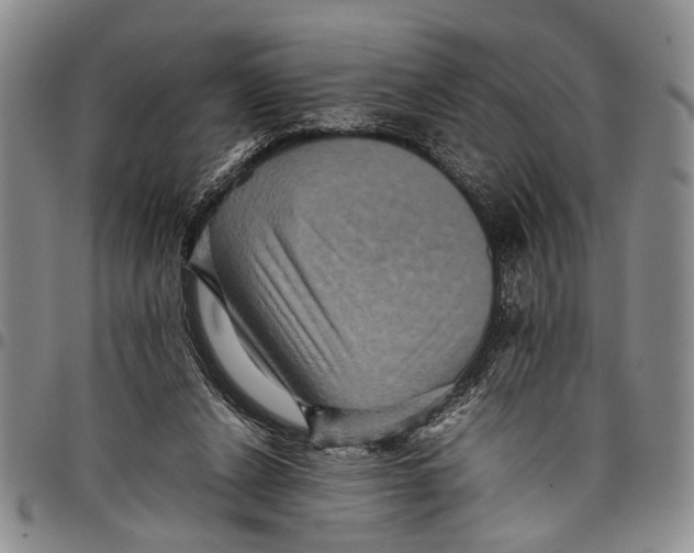 X0000097960256200804141034