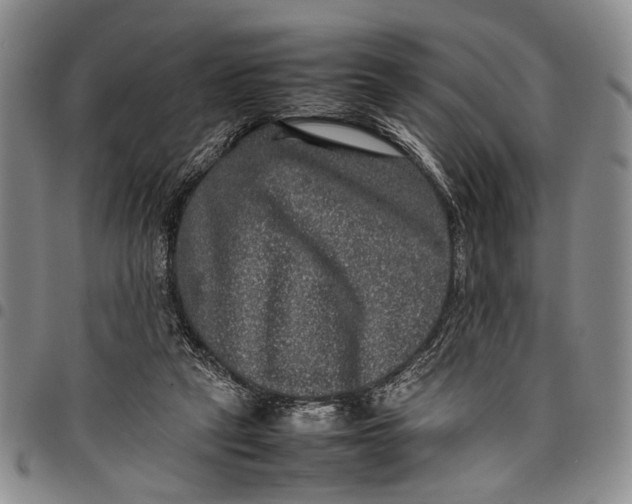 X0000097960257200804141034