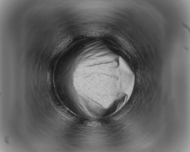 X0000097960258200804141034