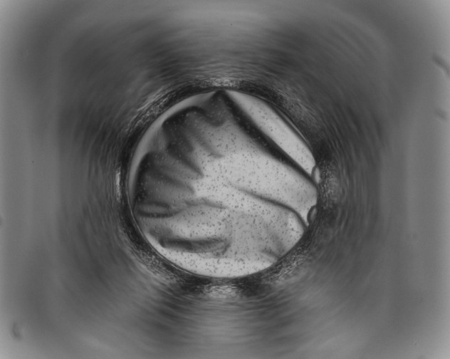 X0000097960262200804141034
