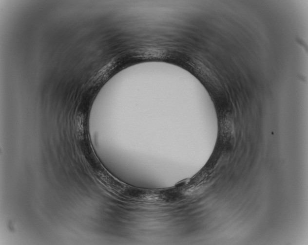 X0000097960264200804141035