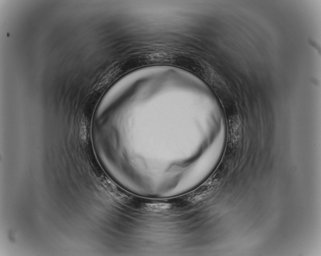 X0000097960266200804141035