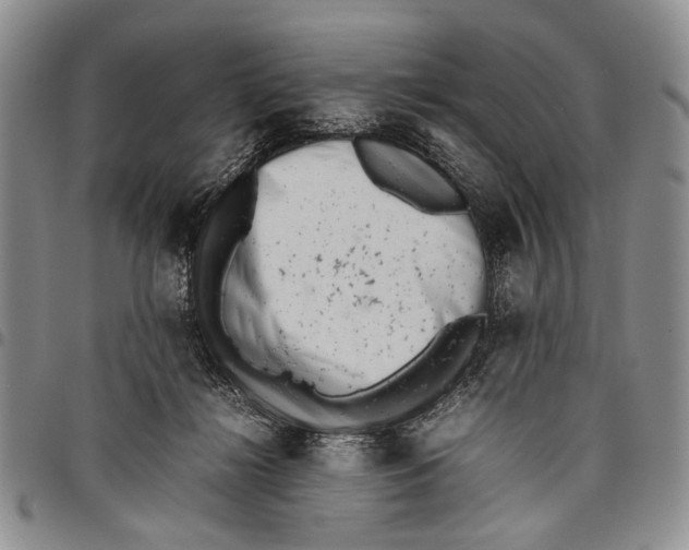 X0000097960268200804141035