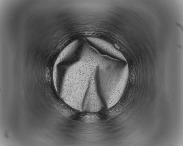X0000097960270200804141035