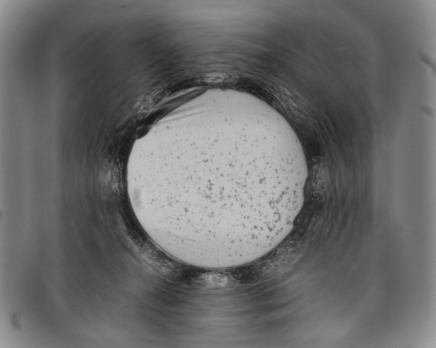 X0000097960272200804141035