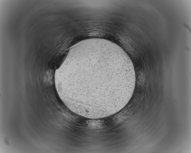 X0000097960273200804141035