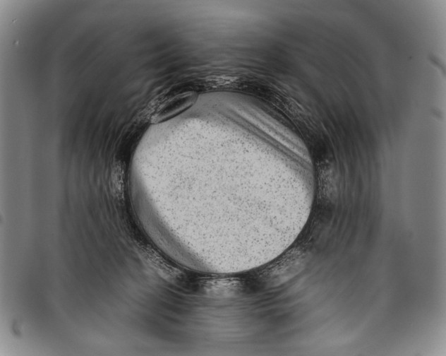 X0000097960274200804141035
