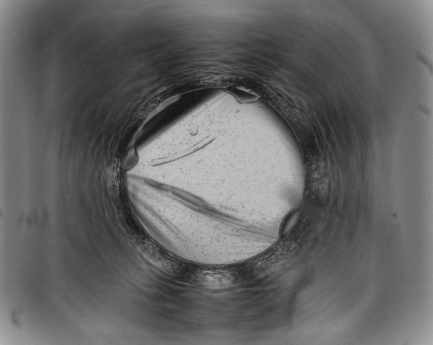 X0000097960275200804141035