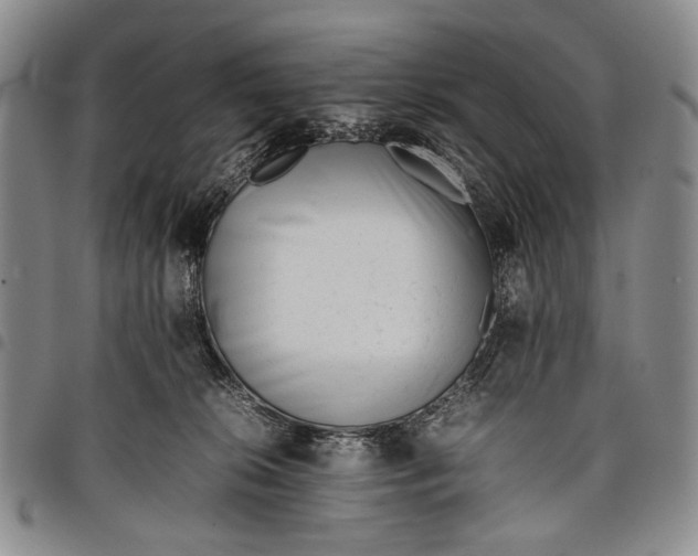 X0000097960276200804141035