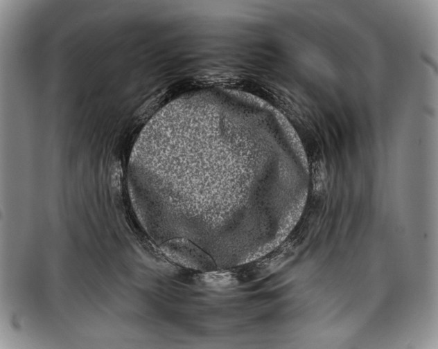 X0000097960279200804141035
