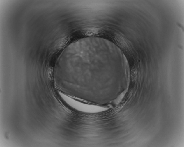 X0000097960280200804141035