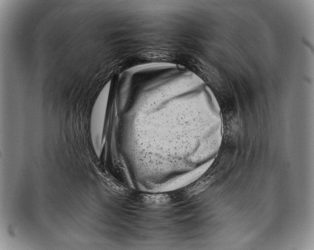 X0000097960281200804141035