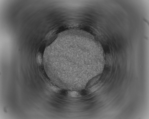 X0000097960287200804141035