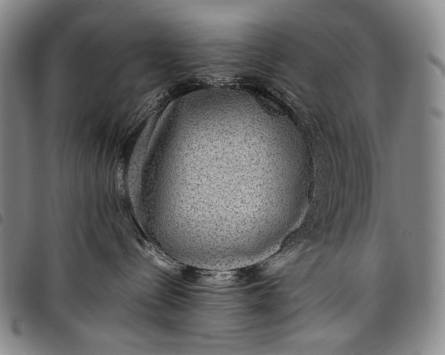 X0000097960288200804141035