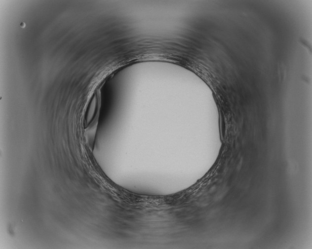 X0000097960289200804141034