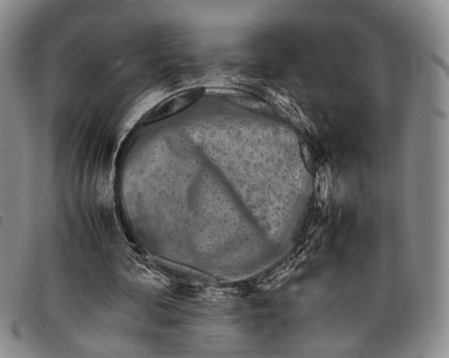 X0000097960292200804141034