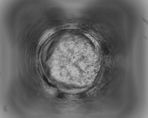 X0000097960293200804141034
