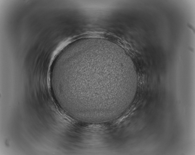 X0000097960294200804141034