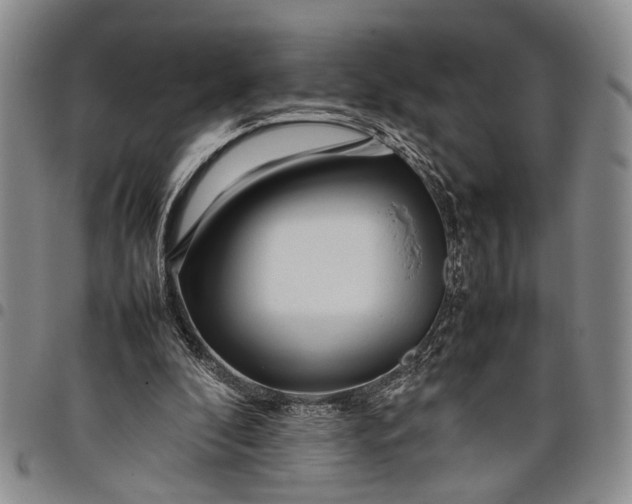 X0000097960296200804141034