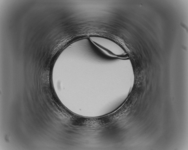 X0000097960299200804141034