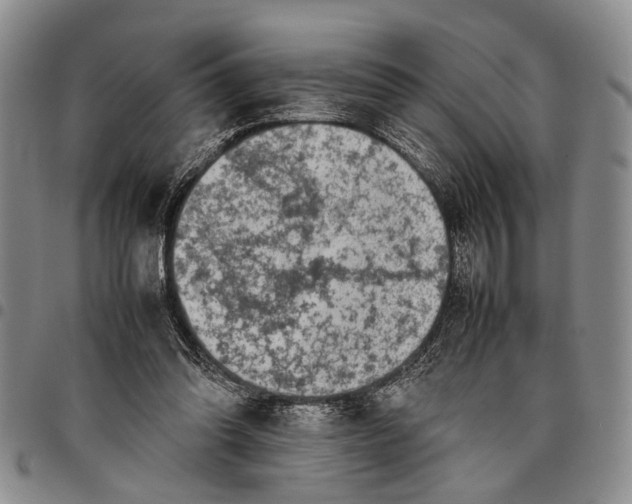 X0000097960302200804141034