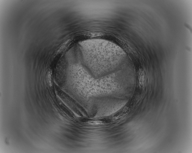 X0000097960316200804141034