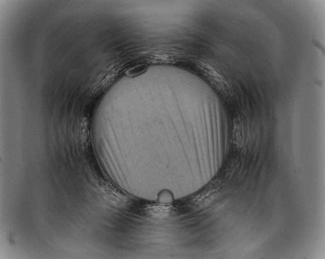 X0000097960318200804141034