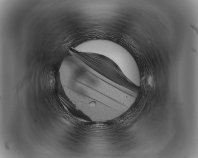 X0000097960320200804141034