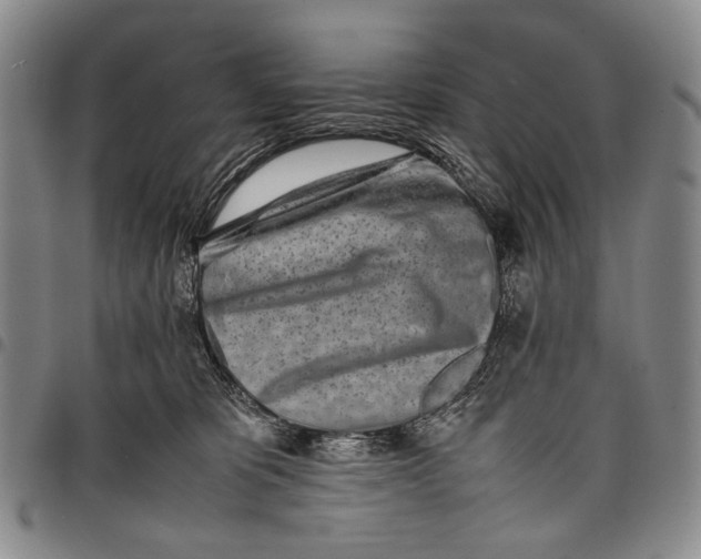 X0000097960325200804141033