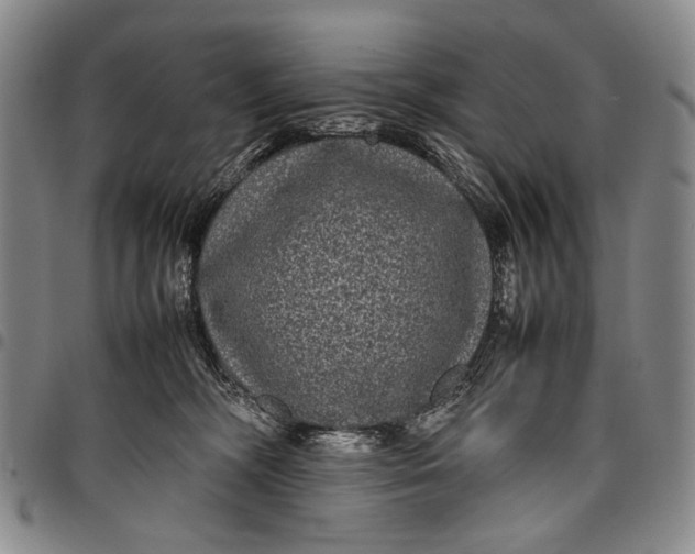 X0000097960326200804141033