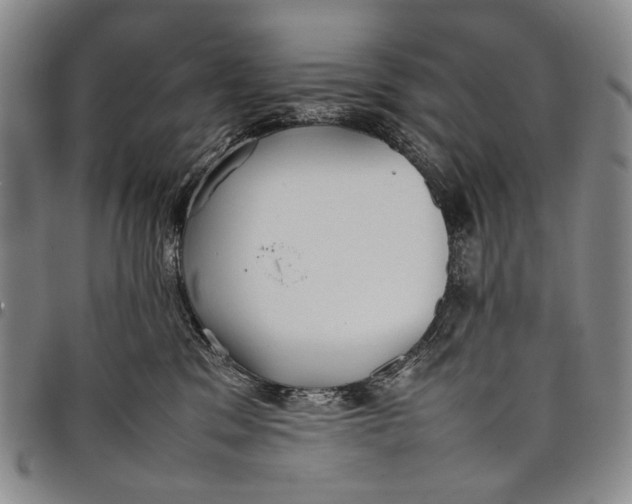 X0000097960329200804141033