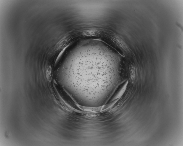 X0000097960332200804141033