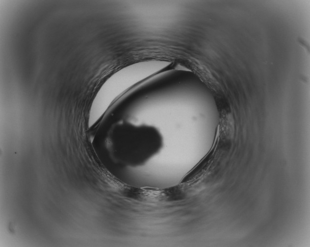 X0000097960333200804141033
