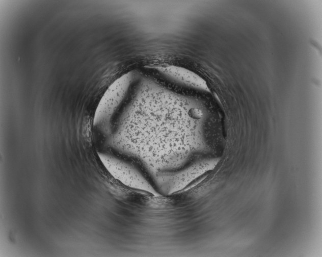 X0000097960336200804141033