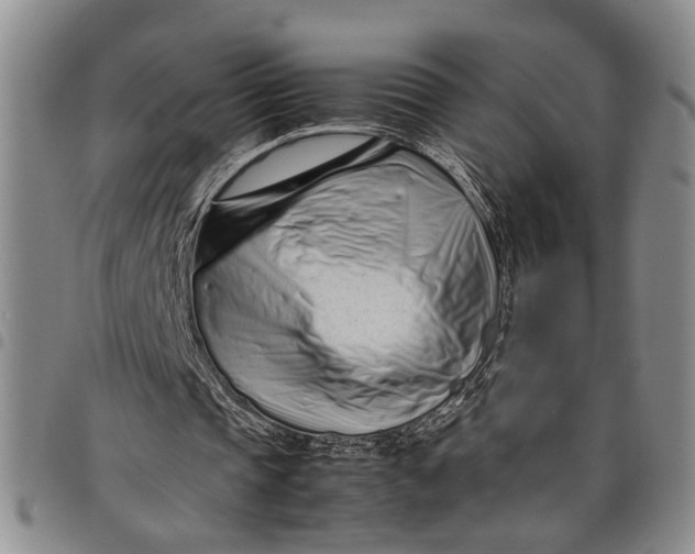 X0000097960337200804141033