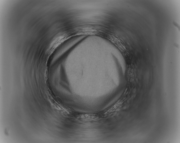 X0000097960338200804141033