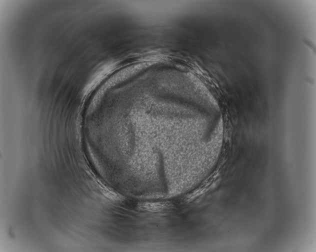 X0000097960341200804141033